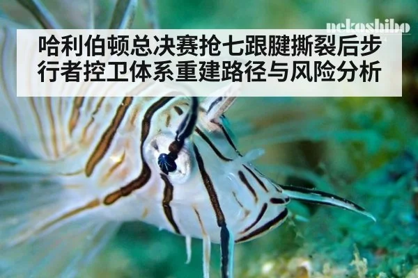 哈利伯顿总决赛抢七跟腱撕裂后步行者控卫体系重建路径与风险分析